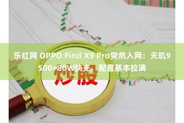 乐红网 OPPO Find X9 Pro突然入网：天玑9500+80W快充，配置基本拉满