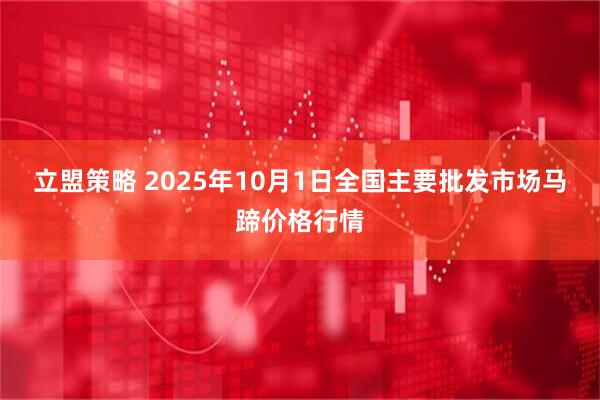 立盟策略 2025年10月1日全国主要批发市场马蹄价格行情