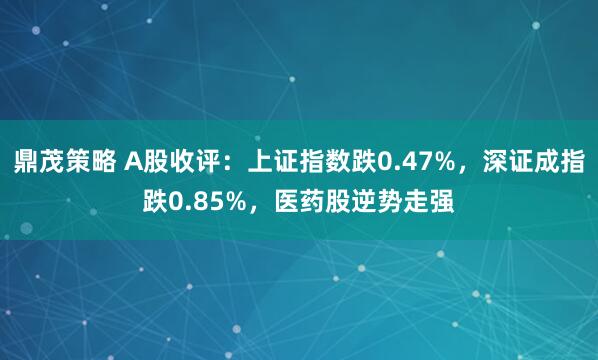鼎茂策略 A股收评：上证指数跌0.47%，深证成指跌0.85%，医药股逆势走强